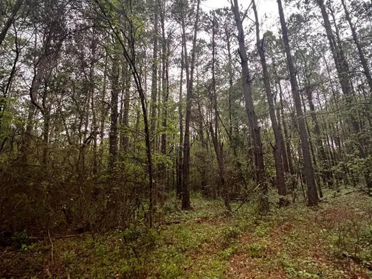 1.05 acres cerca de la universidad
