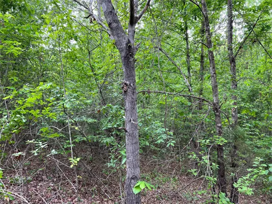 1 acre junto a la carretera 25