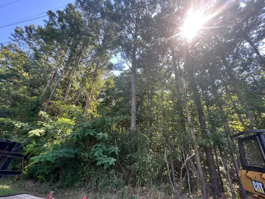 Lote 2 · .84 acre en la 25