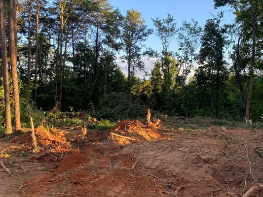 Four unrestricted lots — Photo 7
