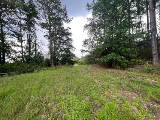Four unrestricted lots — Photo 4