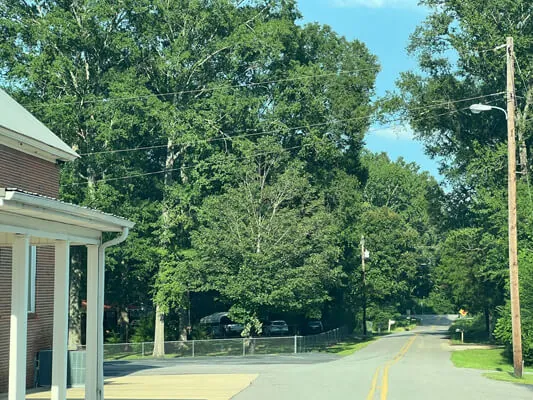 Lot near the lake — Photo 2