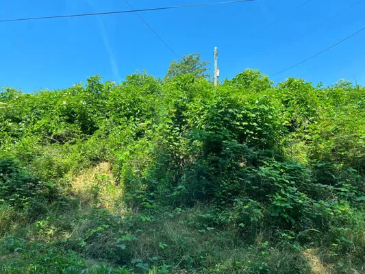 0.35 acre cerca del centro
