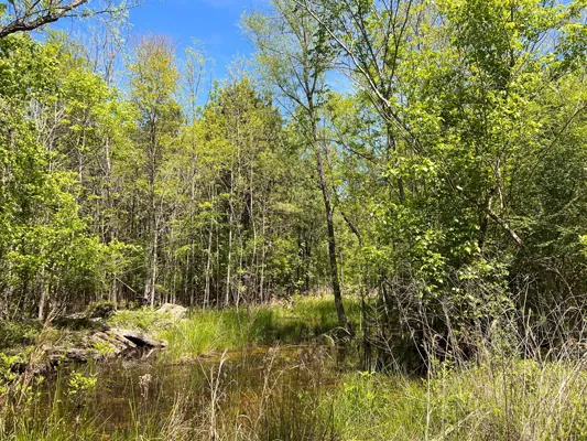 3 acres, septic test done — Photo 2