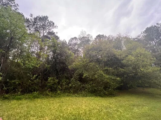 1.05 acres near the university — Photo 3