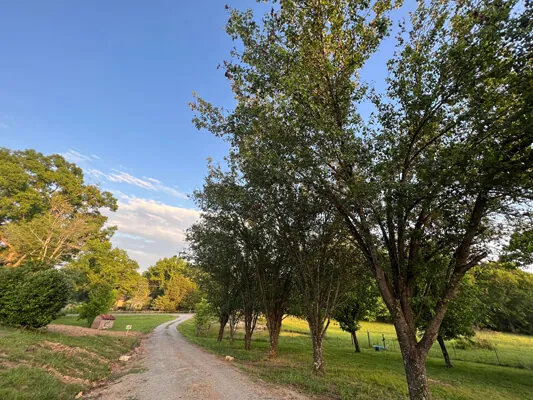 4-bed home on 2 acres — Photo 3
