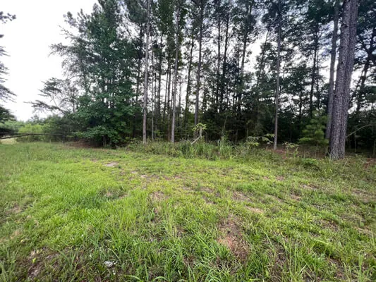 Four unrestricted lots — Photo 5