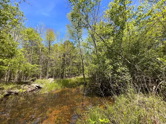 3 acres, septic test done — Photo 3