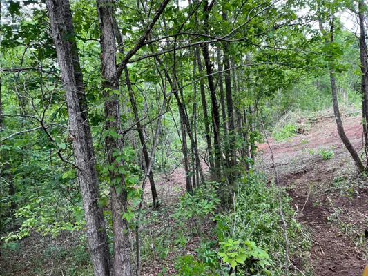 1 acre next to Highway 25 — Photo 2