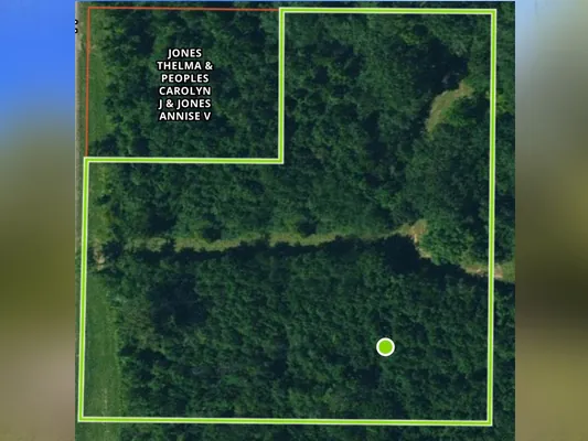 3 acres, septic test done — Photo 4