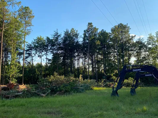 Four unrestricted lots — Photo 8