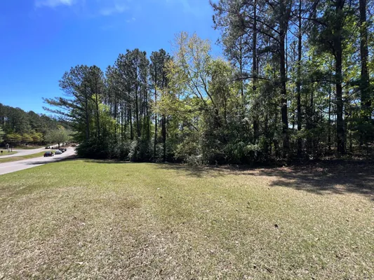 Half an acre in Weatherly — Photo 2