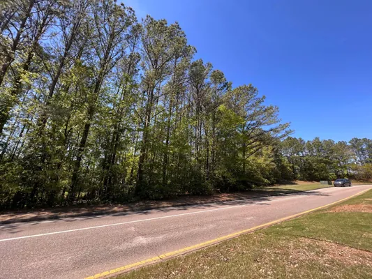 Half an acre in Weatherly — Photo 3