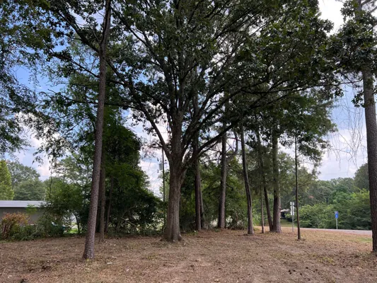 Lote súper grande para cualquier proyecto — Foto 3