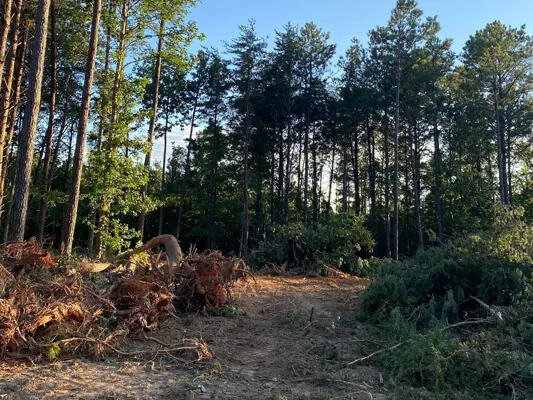 Four unrestricted lots — Photo 9