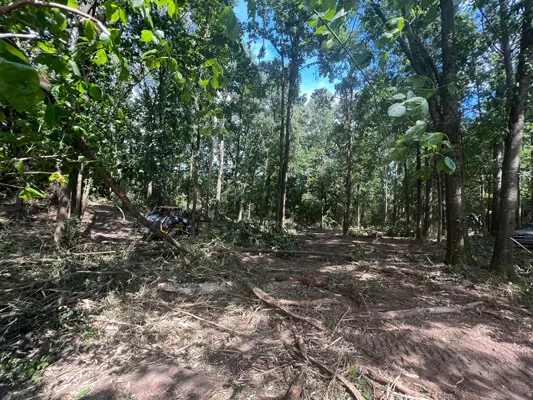 Lot 2 · .84 acre on Hwy 25 — Photo 5