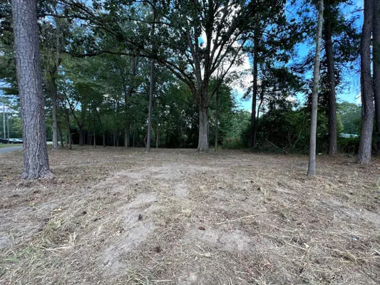 Lote súper grande para cualquier proyecto — Foto 4