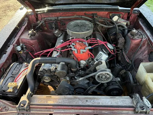 1985 Mustang GT T-Top — Foto 6