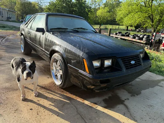 1985 Mustang GT T-Top — Foto 2