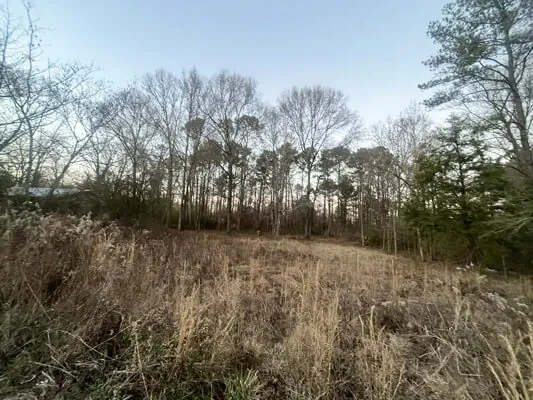 ½ acre, unincorporated — Photo 6
