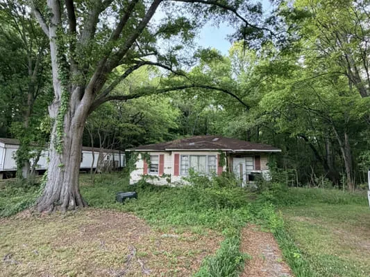 3 bed · 2 bath — Photo 2